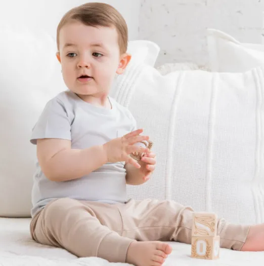 Colored Organics - Cruz Baby Jogger in Clay
